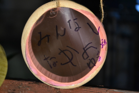 DSC_0061.JPG