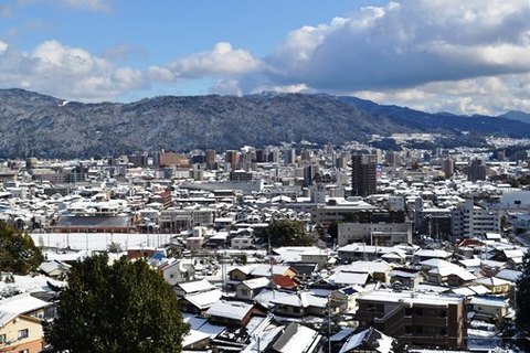 DSC_0249.JPG
